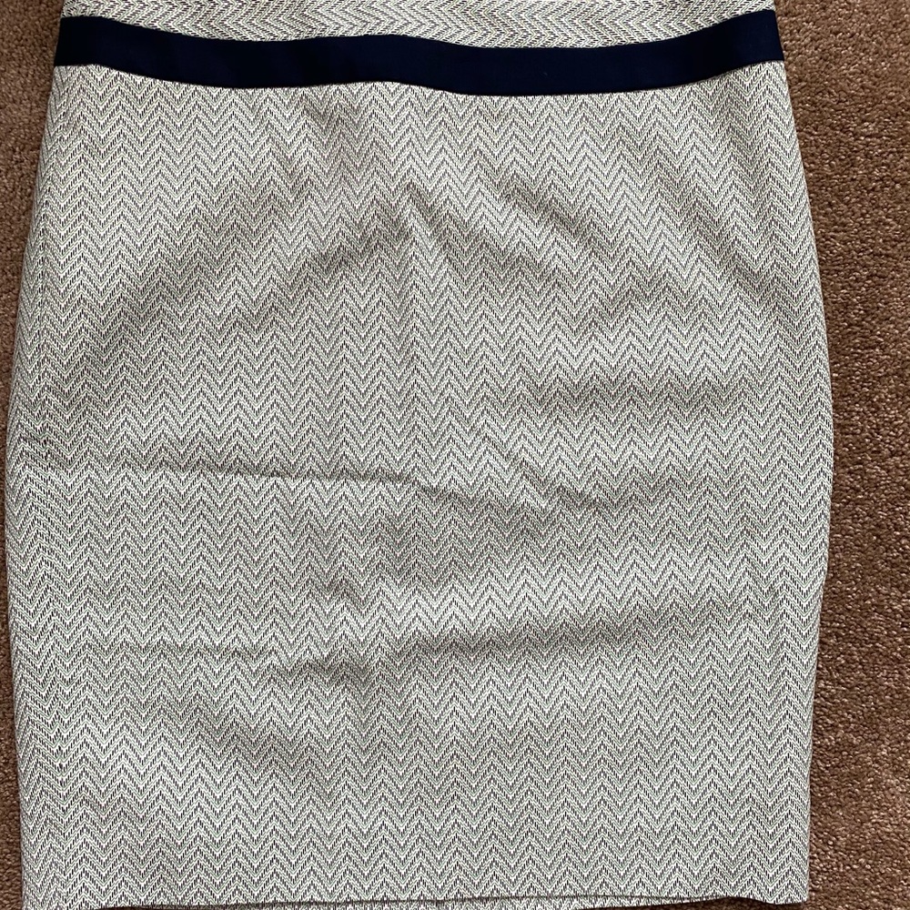 Sz 10 The Limited skirt